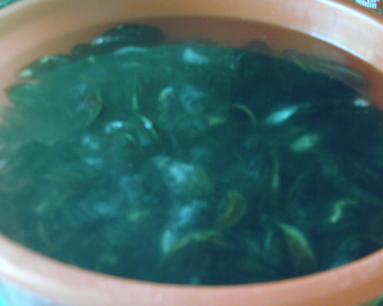 vendredi26juin2009 00001.JPG